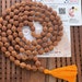 see more listings in the Rudraksha mala section