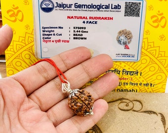 Certifierad 4 Mukhi Rudraksha-pärla – Äkta fyrsidig Rudraksha för meditation, andlig helande, energi och skydd - Himalayan Rudraksha