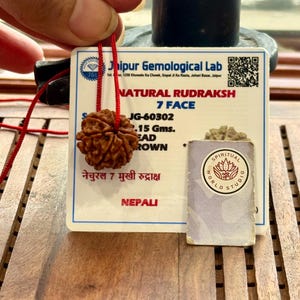 May include: A brown, natural Rudraksha bead with 7 faces, weighing 2.15 grams, strung on a red cord. The bead is accompanied by a Jaipur Gemological Lab certificate and a Spiritual World Studio tag. The text on the certificate reads "NATURAL RUDRAKSH 7 FACE".