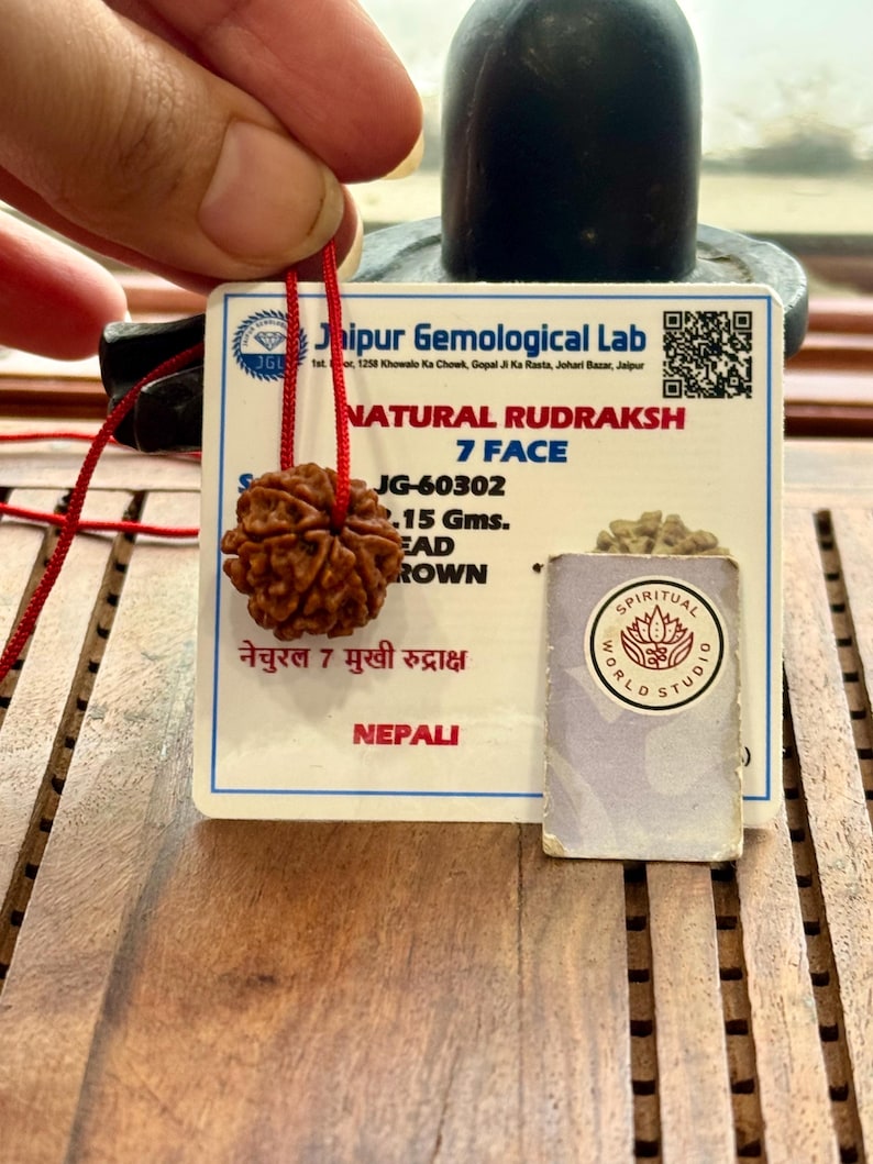 May include: A brown, natural Rudraksha bead with 7 faces, weighing 2.15 grams, strung on a red cord. The bead is accompanied by a Jaipur Gemological Lab certificate and a Spiritual World Studio tag. The text on the certificate reads "NATURAL RUDRAKSH 7 FACE".
