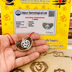 Lab Certified 1 Mukhi Rudraksha  - 1 Face Rudraksham - Shiva prayer Healing - Protection - Natural Rudraksha