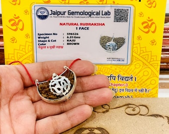 Lab gecertificeerd 1 Mukhi Rudraksha - 1 Gezicht Rudraksha - Shiva gebed Genezing - Bescherming - Natuurlijke Rudraksha