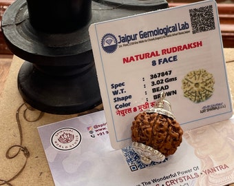 Certifié en laboratoire huit faces mukhi Rudraksha - Huit Mukhi Natural Rudraksha Népal perle - Seigneur Shiva - Méditation - Chant