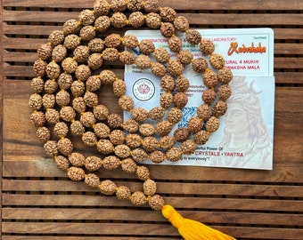 Certifié LAB 108 + 1 perle Rudraksha mala 4 mukhi visage Seigneur Shivas chapelet Japa mala perles de 8 mm Chant Méditation Guérison