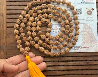 Lab-Certified Rudraksha Mala 108+1 Beads | Authentic 5-Mukhi Prayer & Meditation Japa Necklace | Spiritual Gift