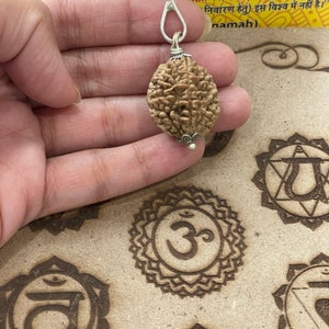May include: A silver pendant with a brown, oval-shaped rudraksha bead. The bead has a textured surface and is attached to a silver chain. The pendant is held in a hand.