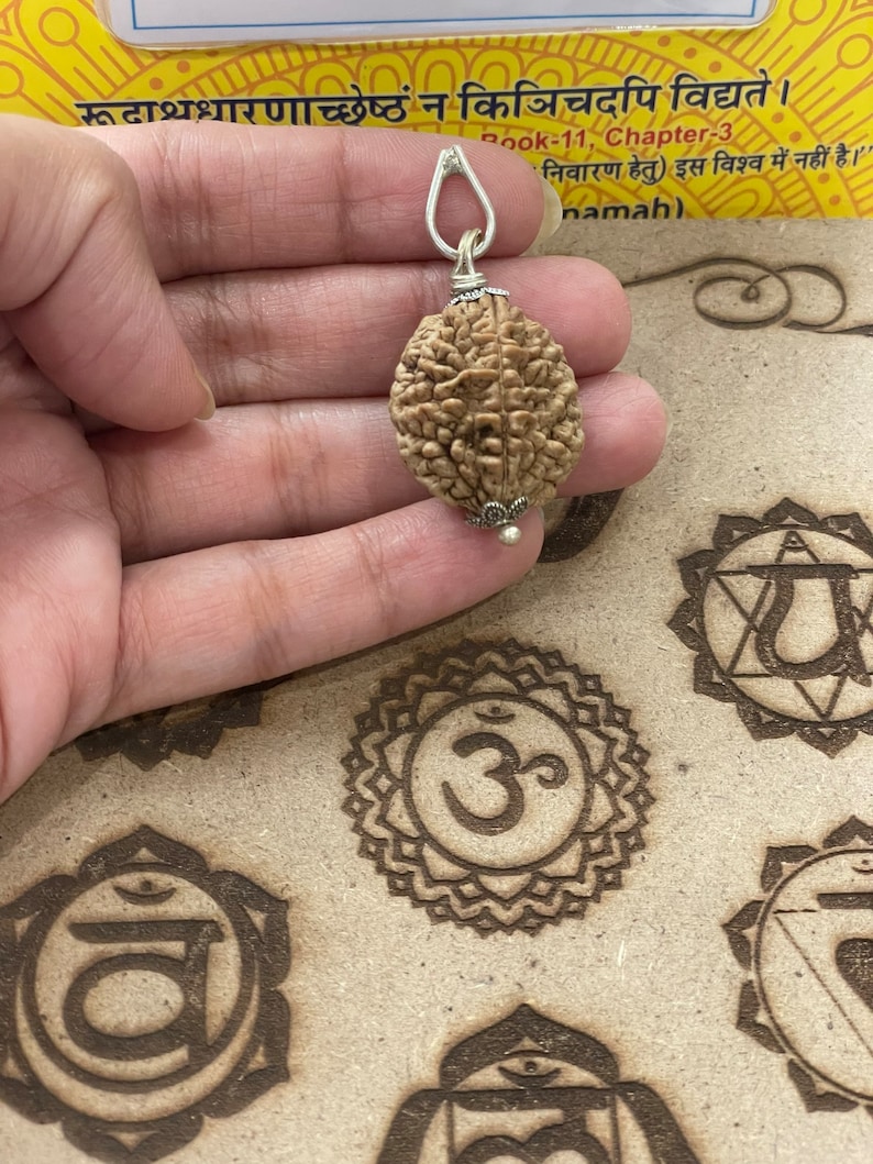 May include: A silver pendant with a brown, oval-shaped rudraksha bead. The bead has a textured surface and is attached to a silver chain. The pendant is held in a hand.