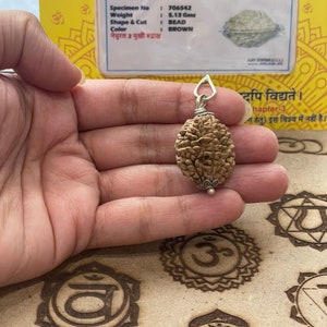 May include: A brown two-faced Rudraksha bead pendant with a silver cap and a silver chain. The bead is 5.13 grams and is labeled "NATURAL RUDRAKSH 2 FACE".