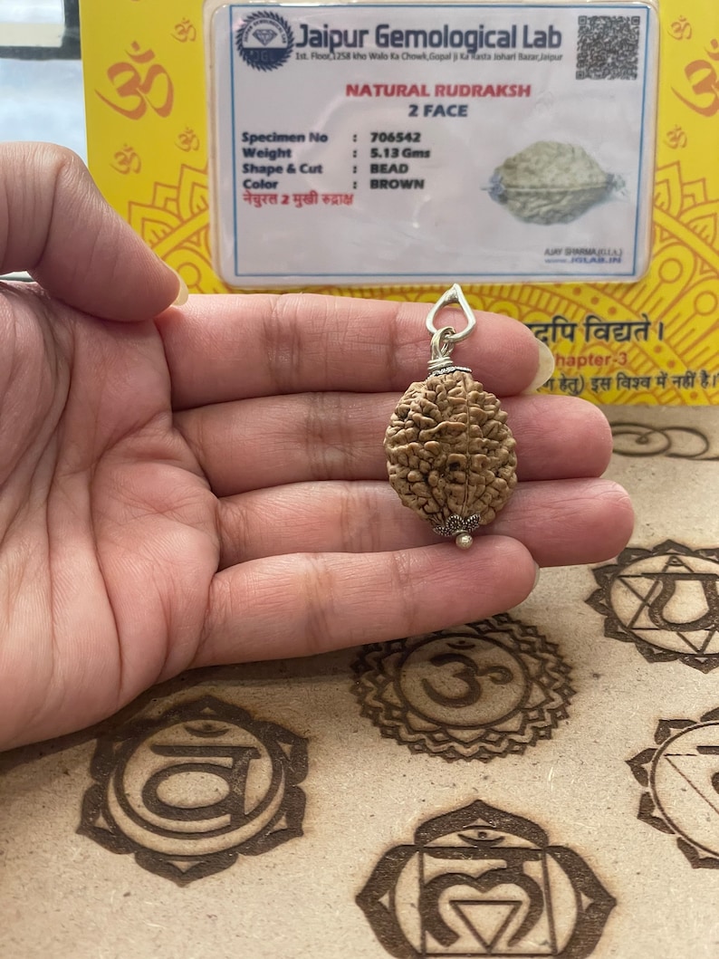 May include: A brown two-faced Rudraksha bead pendant with a silver cap and a silver chain. The bead is 5.13 grams and is labeled "NATURAL RUDRAKSH 2 FACE".