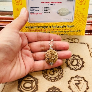 Lab Certified 2 Mukhi Rudraksha - 2 Face Rudraksham - Shiva prayer Healing - Protection - Natural Rudraksha