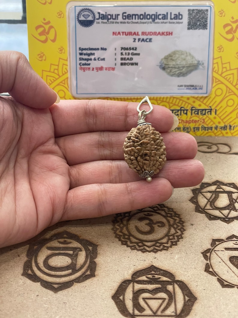 May include: A brown two-faced Rudraksha bead pendant with a silver bail. The bead is 5.13 grams and is labeled "NATURAL RUDRAKSH 2 FACE" on a card with the text "Specimen No: 706542, Weight: 5.13 Gms, Shape & Cut: BEAD, Color: BROWN".