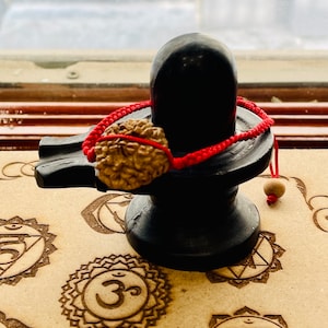 Energised Rudraksha 2 3 4 5 6 face mukhi bead mala wrist band bracelet - Lord Shivas bracelet - Chanting Meditation Healing