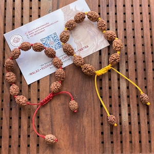 Rudraksha bracelet - 3 face Mukhi Rudraksha - Shiva Bracelet - Energised Blessed Rudraksha 3 mukhi- Rudraksha Japa mala bracelet