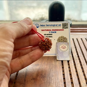 May include: A brown, textured Rudraksha bead, strung on a red cord, is held up for display. The bead is accompanied by a Jaipur Gemological Lab certificate. The certificate indicates it is a 7 Face Natural Rudraksha, weighing .15 gms.