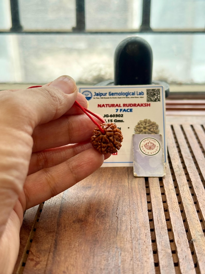 May include: A brown, textured Rudraksha bead, strung on a red cord, is held up for display. The bead is accompanied by a Jaipur Gemological Lab certificate. The certificate indicates it is a 7 Face Natural Rudraksha, weighing .15 gms.