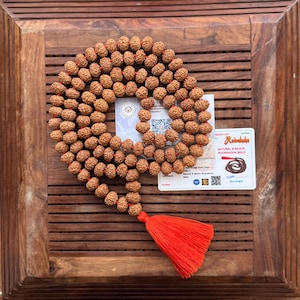 Natural 8 mukhi Rudraksha mala | 108 beads japa rosary | Certified 8 face Rudraksha necklace | Obstacle removal meditation mala
