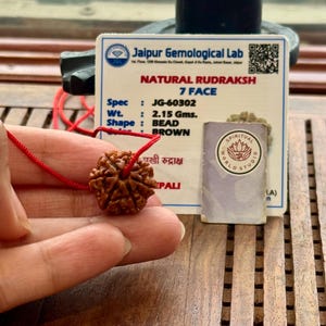 May include: A brown Natural Rudraksh 7 Face bead, held by a hand, with a red string. The bead weighs 2.15 grams. A Jaipur Gemological Lab card and a Spiritual World Studio card are in the background.