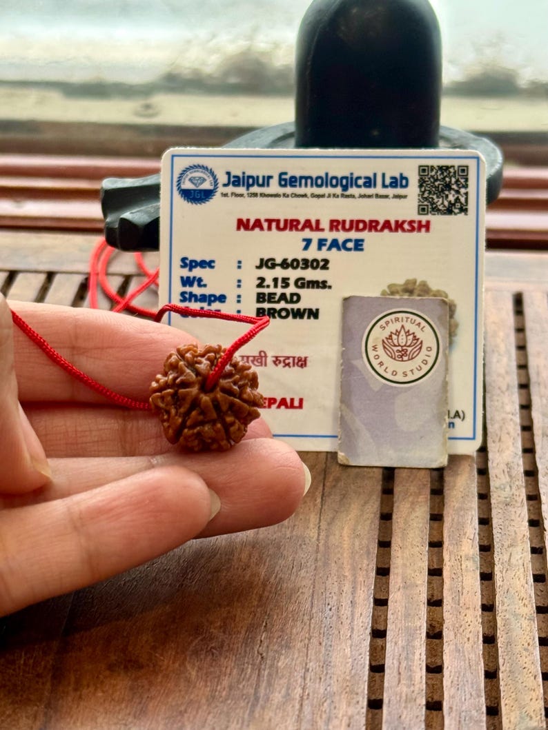 May include: A brown Natural Rudraksh 7 Face bead, held by a hand, with a red string. The bead weighs 2.15 grams. A Jaipur Gemological Lab card and a Spiritual World Studio card are in the background.