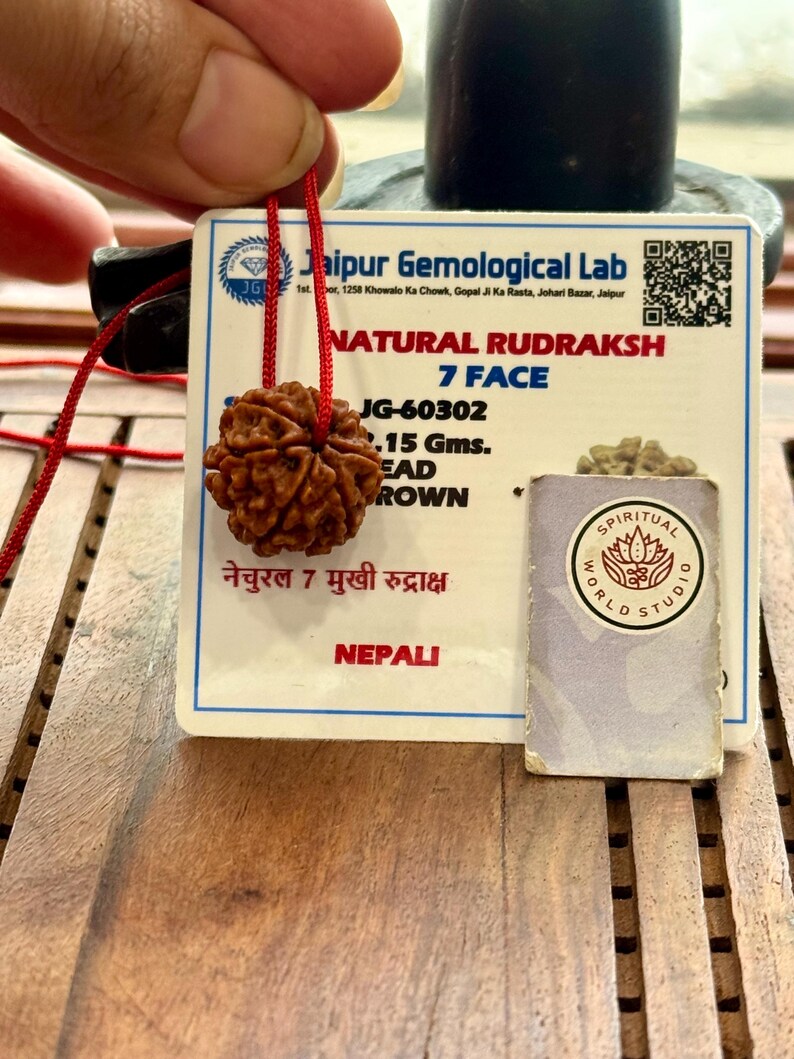 May include: A brown, natural Rudraksh bead with 7 faces, strung on a red cord. The bead is accompanied by a tag from Jaipur Gemological Lab, with text in English and Hindi. A small card from Spiritual World Studio is also present.