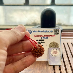 May include: A brown, textured Rudraksha bead, strung on a red cord, is held in front of a white card with text. The card reads "NATURAL RUDRAKSH 7 FACE". A black, rounded object is in the background. A smaller card with a logo is also visible.