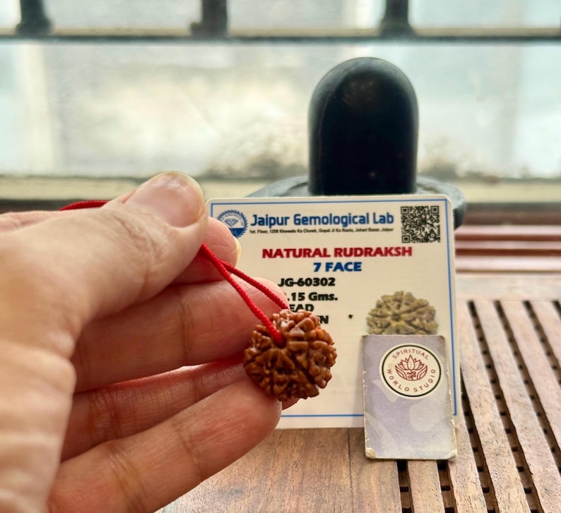 May include: A brown, textured Rudraksha bead, strung on a red cord, is held in front of a white card with text. The card reads "NATURAL RUDRAKSH 7 FACE". A black, rounded object is in the background. A smaller card with a logo is also visible.