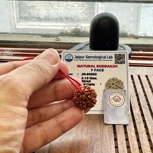 May include: A brown Rudraksha bead on a red string, held in a hand. The bead is next to a card with text that reads "Jaipur Gemological Lab NATURAL RUDRAKSH 7 FACE". A black stone is in the background.