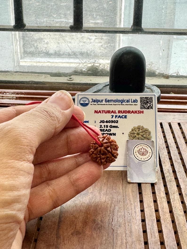 May include: A brown Rudraksha bead on a red string, held in a hand. The bead is next to a card with text that reads "Jaipur Gemological Lab NATURAL RUDRAKSH 7 FACE". A black stone is in the background.