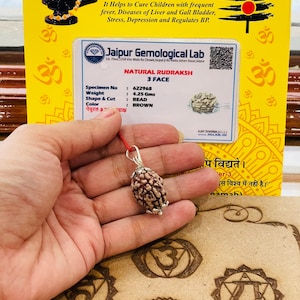 Labor zertifizierte 3 Gesicht Rudraksha - Natürliche Rudraksha Perle - Shiva - Heilung - Schutz - Rudraksha Anhänger