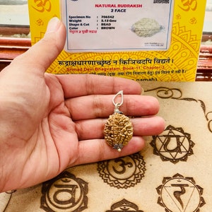 May include: A brown two-faced Rudraksha bead with a silver pendant. The bead weighs 5.13 grams and has a bead shape. The bead is brown in colour. The text on the card reads "Natural Rudraksha 2 Face Specimen No: 706542 Weight: 5.13 Gms Shape & Cut: Bead Colour: Brown"