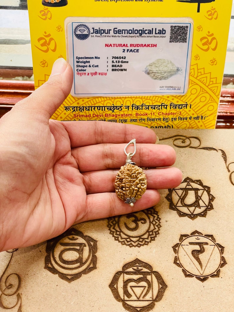 Lab Certified 2 Mukhi Rudraksha Bead: Shiva Prayer, Healing, Protection image 1