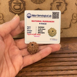 Lab certified 9 face mukhi Rudraksha-  Nine Mukhi Natural Rudraksha Nepal bead - Lord Shiva - Meditation - Chanting