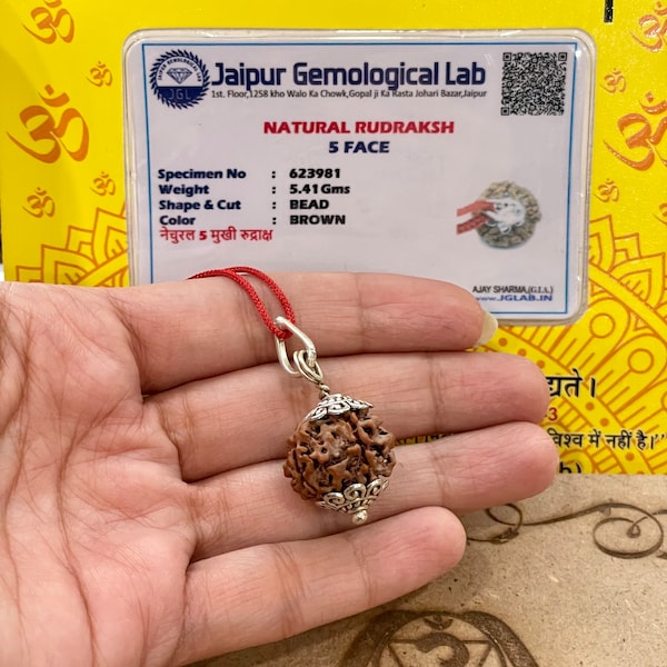 Lab-gecertificeerd Rudraksha met vijf gezichten - Vijf mukhi Rudraksha - Lord Shiva - Meditatie zingen