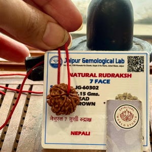 May include: A brown, textured Rudraksha bead with a red string, held in front of a black stone. A white card with text from Jaipur Gemological Lab and "NATURAL RUDRAKSH 7 FACE" is visible. A small card with "SPIRITUAL WORLD STUDIO" is also present.