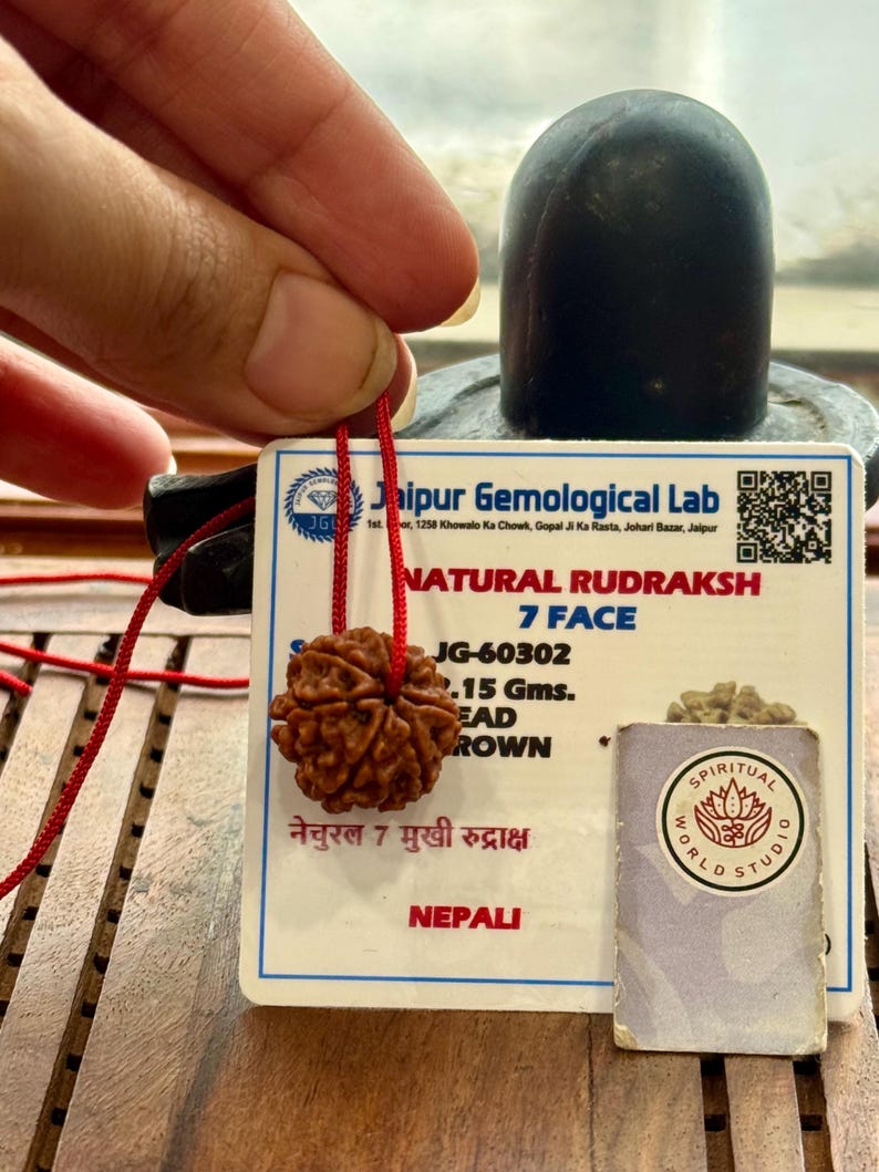 May include: A brown, textured Rudraksha bead with a red string, held in front of a black stone. A white card with text from Jaipur Gemological Lab and "NATURAL RUDRAKSH 7 FACE" is visible. A small card with "SPIRITUAL WORLD STUDIO" is also present.