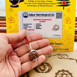 Lab certified six face Rudraksha- Six Mukhi Rudraksha bead - Lord Shiva - Meditation - Chanting
