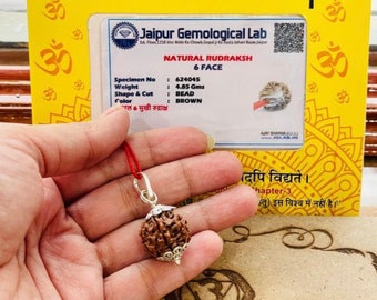 Lab Certified Six Mukhi Rudraksha Bead: Lord Shiva Meditation