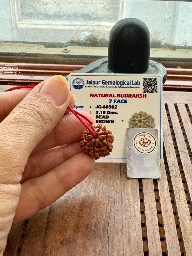 Lab Certified 7 Mukhi Rudraksha: Shiva Prayer Bead image 1
