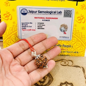 Lab Certified 4 Mukhi Rudraksha  - 4 Face Rudraksham - Shiva prayer Healing - Protection - Natural Rudraksha