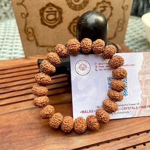 Lab certified Rudraksha 7 face Mukhi Bracelet- Healing Bracelet- Shiva bracelet - Japa bracelet - Chanting - Meditation