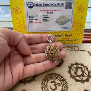 May include: A brown Rudraksha bead pendant with a silver cap and a silver chain. The bead is 2-faced and has a natural brown color. The pendant is displayed on a wooden surface with a printed Om symbol.