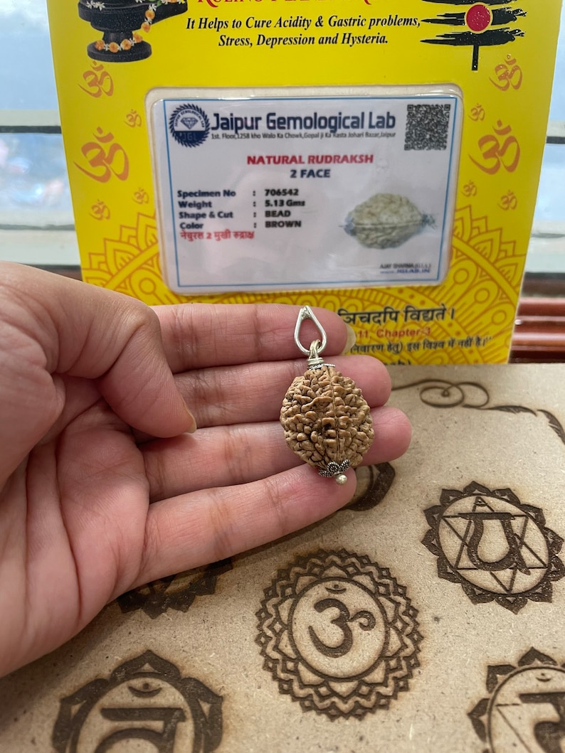 May include: A brown Rudraksha bead pendant with a silver cap and a silver chain. The bead is 2-faced and has a natural brown color. The pendant is displayed on a wooden surface with a printed Om symbol.