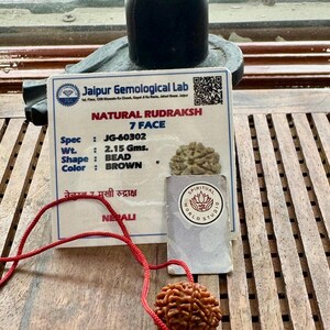 May include: A brown, natural Rudraksh bead necklace with a red cord. The image includes a card from Jaipur Gemological Lab with details: 7 Face, 2.15 grams, and brown color. A Spiritual World Studio card is also present.