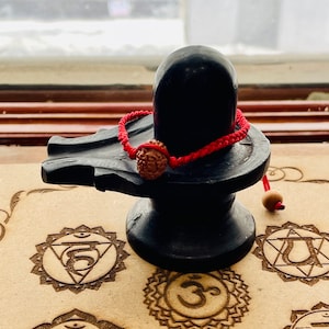 Energised Rudraksha 7,8,9,10 face mukhi bead mala wrist band bracelet - Lord Shivas bracelet - Chanting Meditation Healing