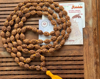 LAB certified 108+1 bead Rudraksha mala 3 mukhi face Lord Shivas Rosary Japa mala 8mm beads Chanting Meditation Healing