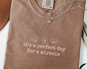 IVF Mom and Dad Gift, Comfort Colors Shirt, Transfer Day, It's A Perfect Day for A Miracle Shirt, IVF Strong Matching Tee, Transfer Day