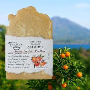 SATSUMA Soap, handmade cold process soap, gift for any occasion, small batch, Natural soap