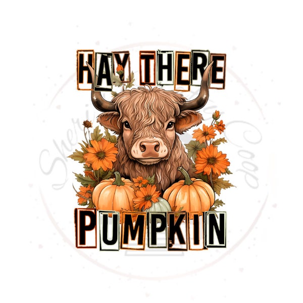 Hay There Pumpkin Highland Cow DTF Transfer Print(Only) Ready To Press