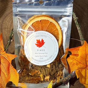 Fall Simmer Pot Blend, Cozy Autumn Ritual Inspired, Orange Spice Home Fragrance