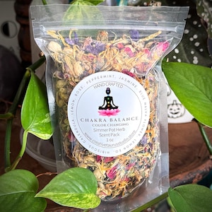 Chakra Balance Color Changing Simmer Pot Blend | Energetic Alignment & Intentional Ritual