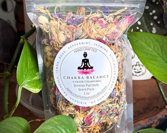 Chakra Balance Color Changing Simmer Pot Blend | Energetic Alignment & Intentional Ritual